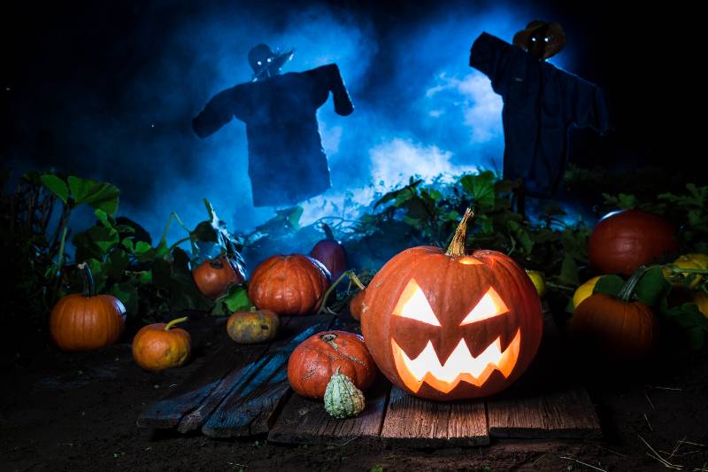 Orange pumpkin with blue mist and scarecrows for Halloween