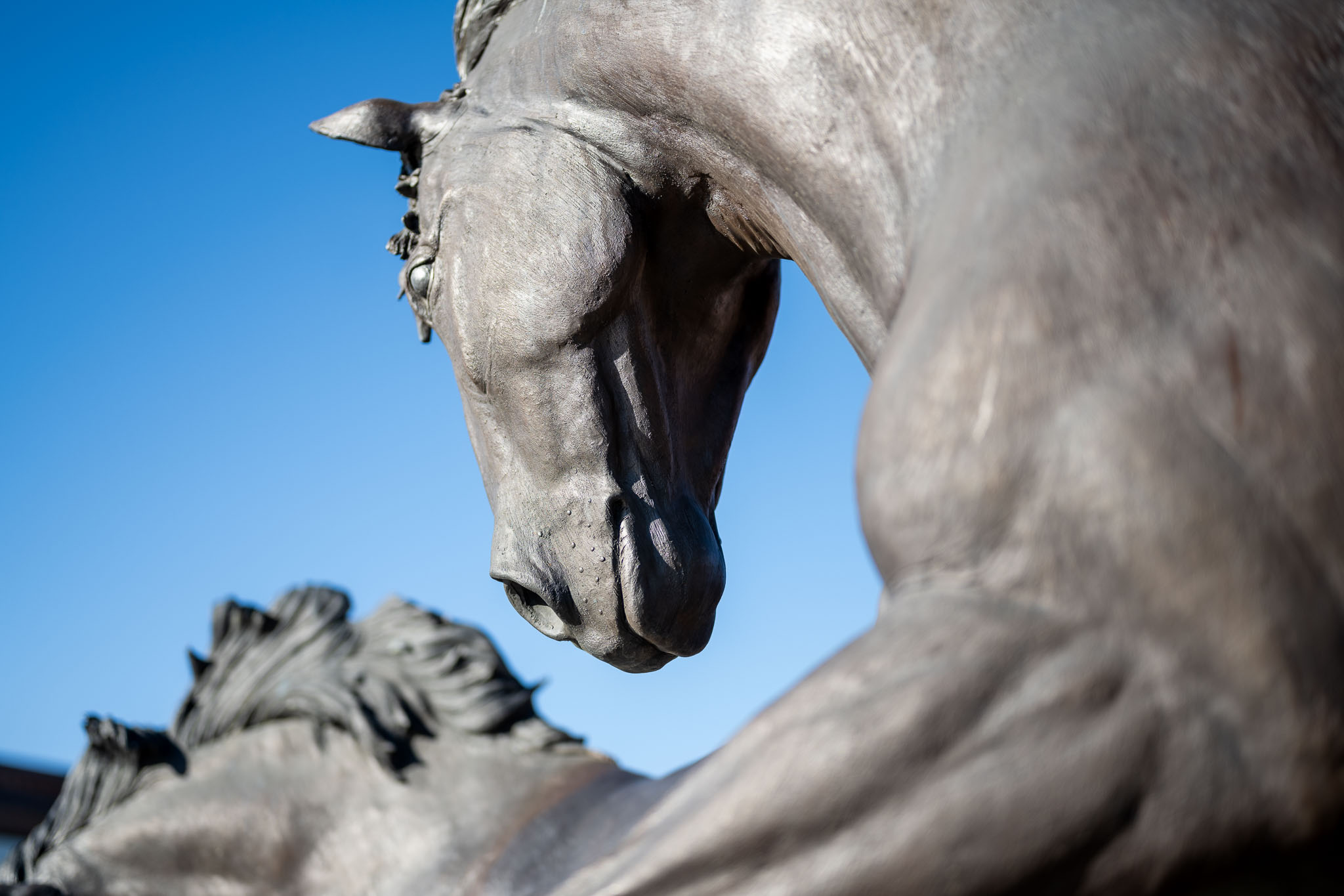 Photo of horse statues with blue sky background