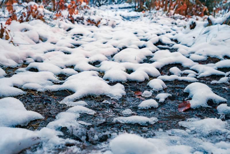 A bit of snow-white fluffy snow on transparent small puddles in a sunny winter forest