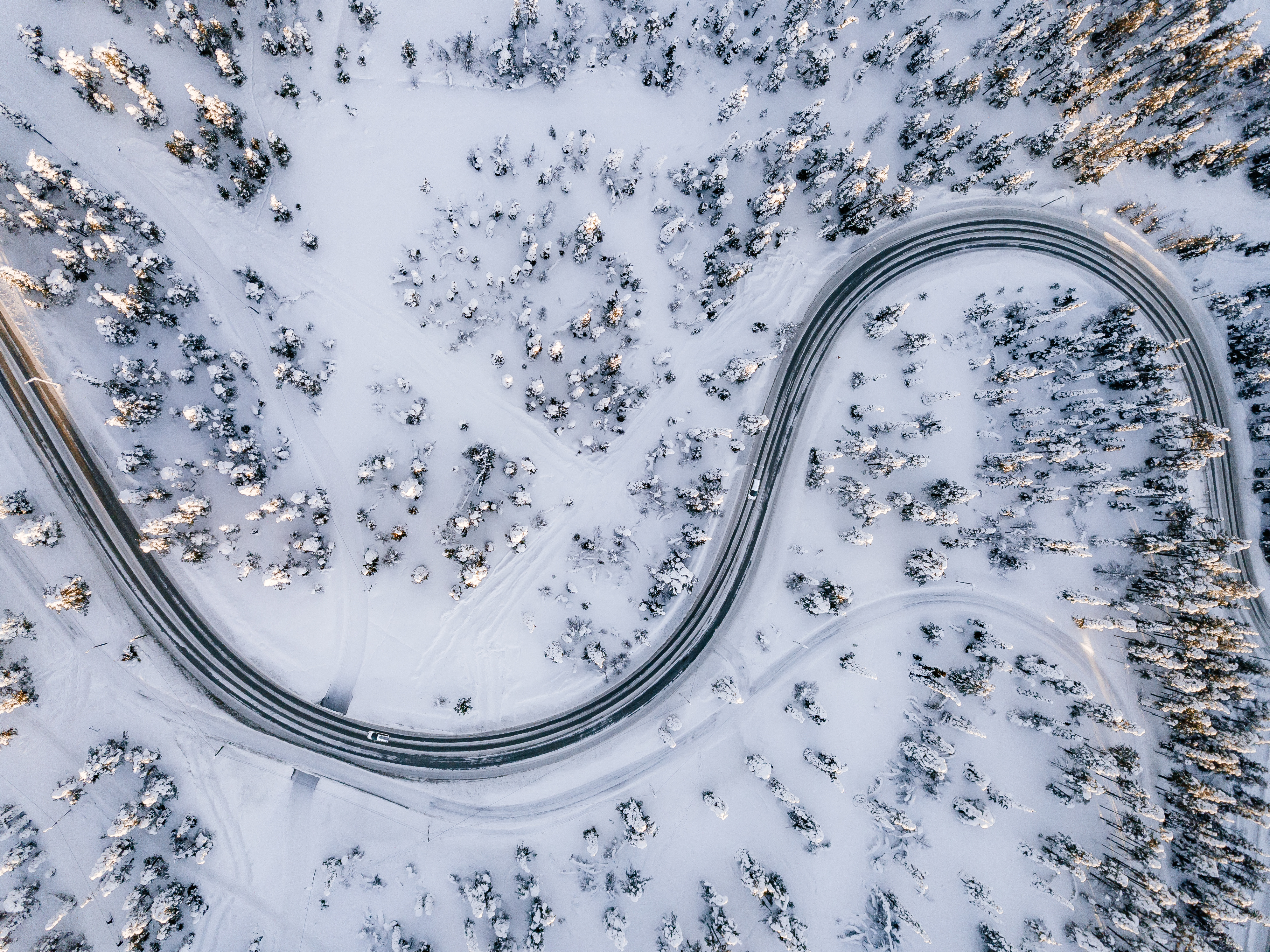 A drone shot of a windy road in winter with snowed capped trees. 