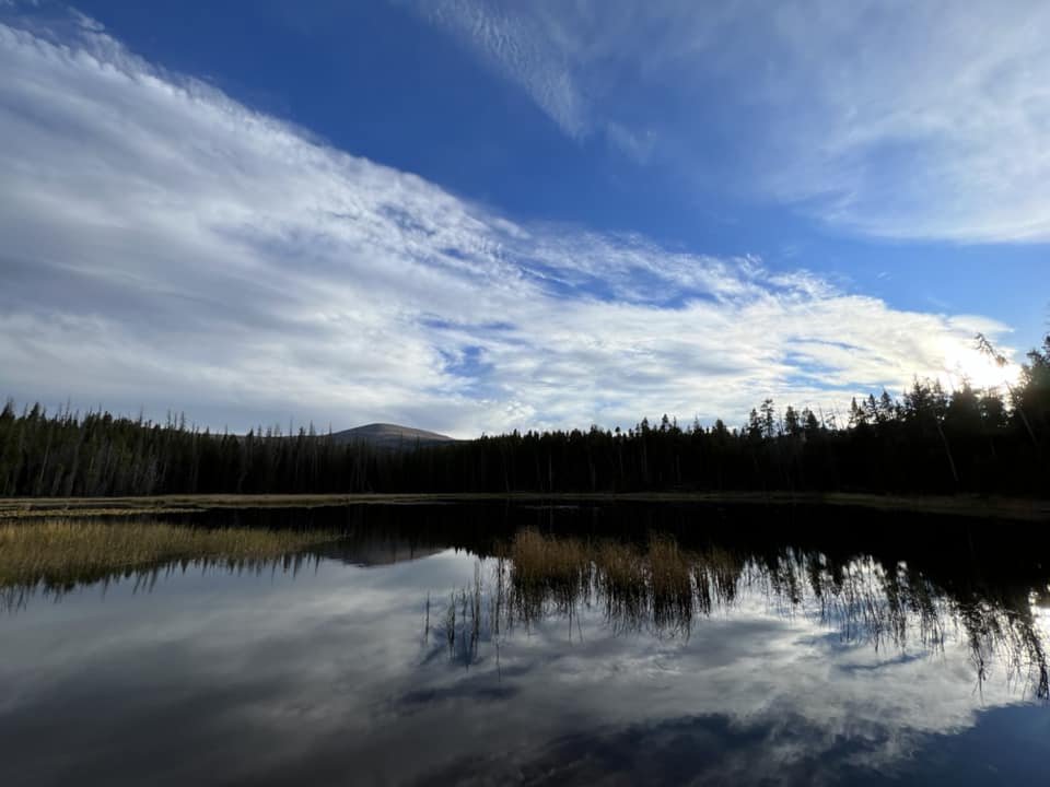 A lake bordered by trees in the distance. 