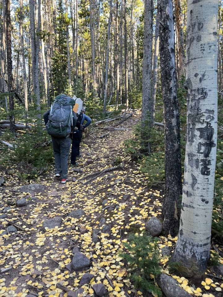 A wooded area with a trail in center. Another person is in front hiking.