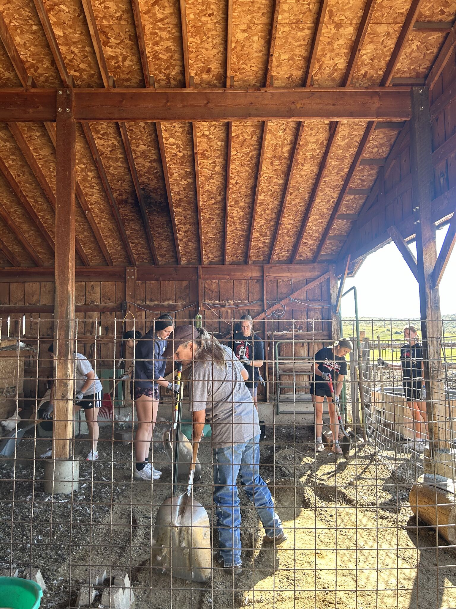 Women's Basketball athletes volunteering at local ranch. 