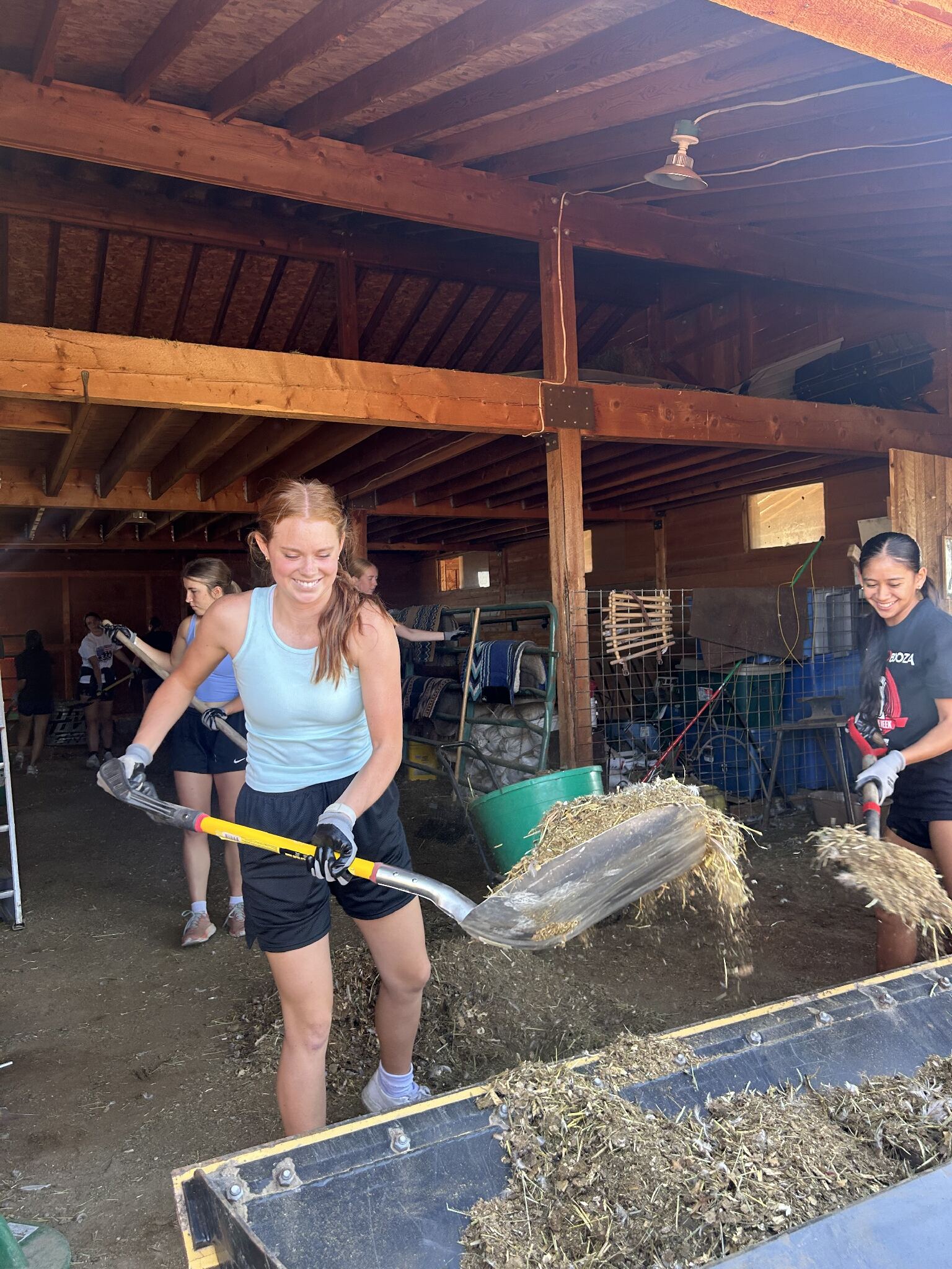 Women athlete shoveling hay. 